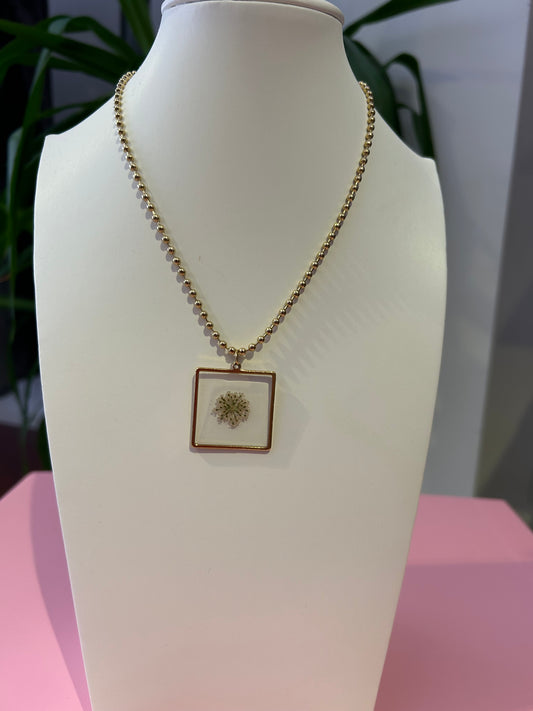 Collana Quadri